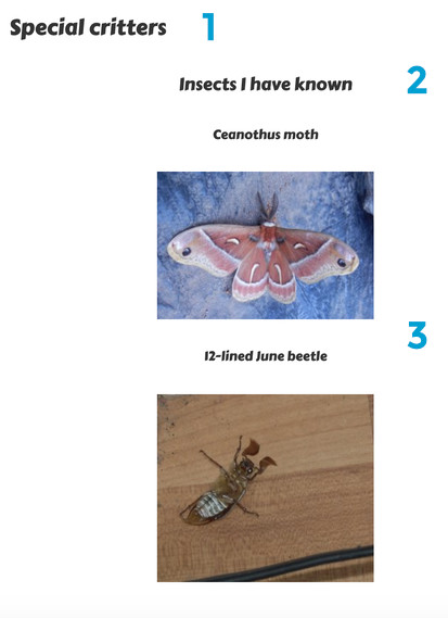 Two modules in the third column group, mobile view