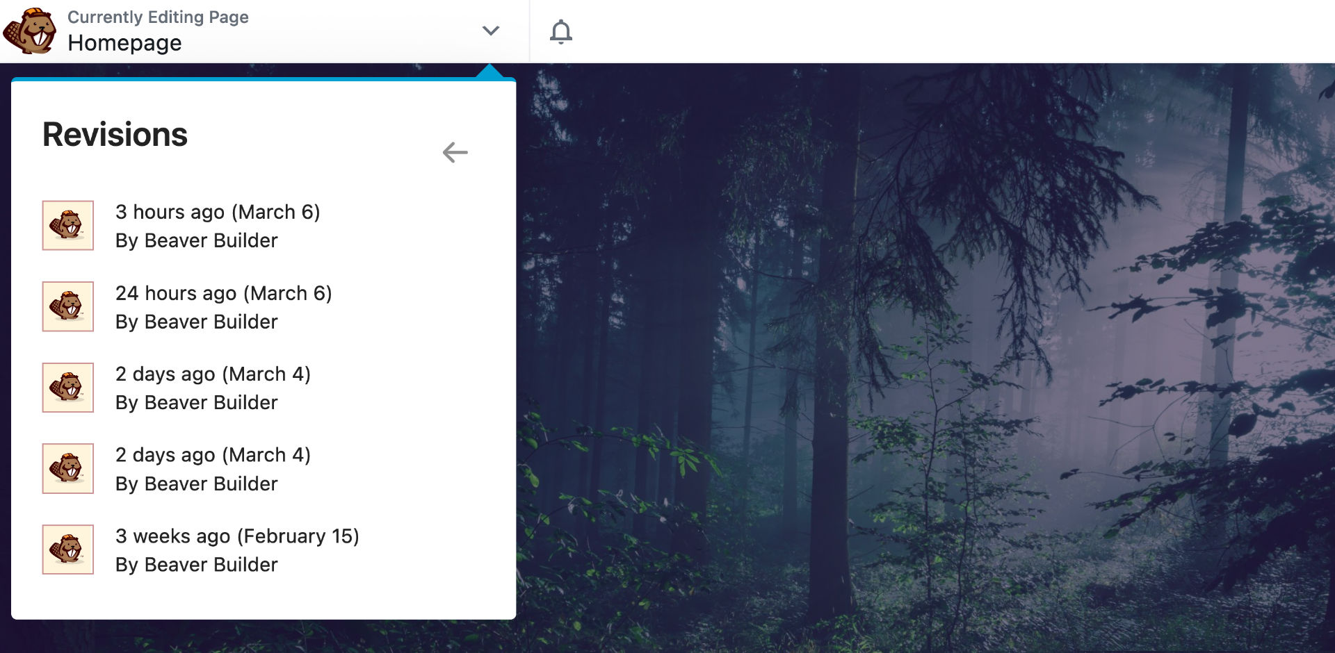 WordPress Revisions in Beaver Builder